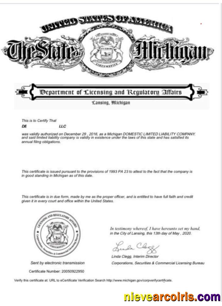 USA Michigan certificate of good standing